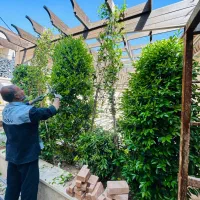 خدمات گیاه پزشکی و باغبانی