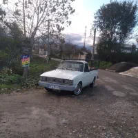 حمل بار باوانت