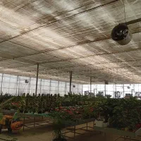 نیروی کار بلد برای گلخانه