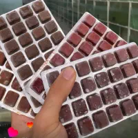 میکسهای منجمد ریو جوما غذای همه ماهیان آکواریومی