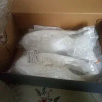 کفش ونس خارجی