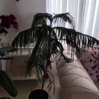 کلیه وسایل منزل