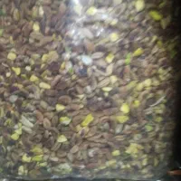 مغزپسته|خوردنی و آشامیدنی|تهران, افسریه شمالی|دیوار