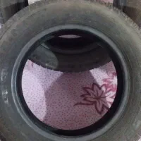 لاستیک|قطعات یدکی و لوازم جانبی|امیدیه, |دیوار