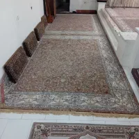 قالی ۴ عدد ۱۲متری ۷۰۰شانه ‌‌‌تراکم ۲۵۵۰رنگ گردویی