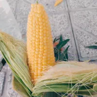 بلال مکزیکی کیلو ۶۰
