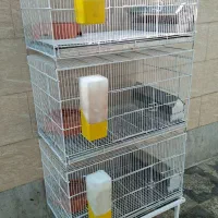 قفس جفتگاه کبوتر
