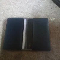 پیداشده
