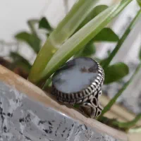 انگشتر شجر