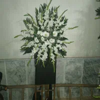 گل وگیاه طبیعی