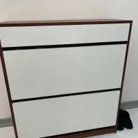 جا کفشی داشبوردی