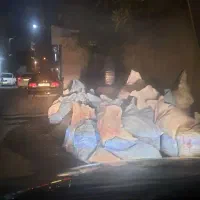 نوخاله کیسه خورده رایگان
