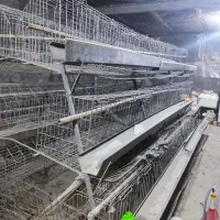 قفس  مببری مرغ تخم گذار 215 عددی