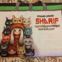 حصیر ۹ متری