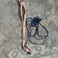 جلیقه پرواز پرنده