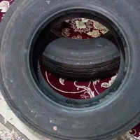 لاستیک رازی