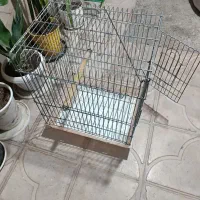 قفس کاسکویی فقط معاوضه با قفس ۵۲