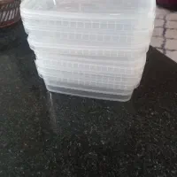 ظرف یکبارمصرف فریزری وخرما