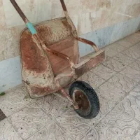فرغون