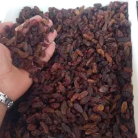 کشمش خوراکی و آفتابی