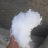 پشم برای بالشت وتشک