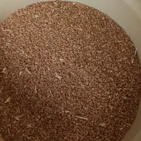گندم|عمده‌فروشی|ورامین, ورامین|دیوار