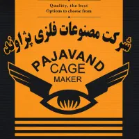 اسنخدام نیرو