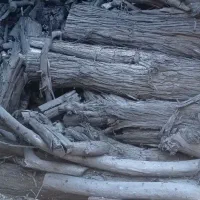 ذغال کنار