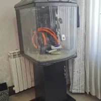 اکواریوم آب شور