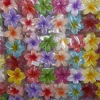 پخش عمده و خرد اکسسوری مو (کلیپس گیره کش و)