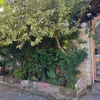 سویت تک خواب تمیز