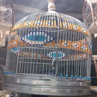 قفس سهره خاکی