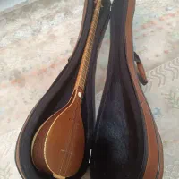 سه‌تار منطقی