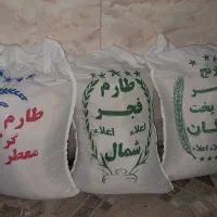 برنج شمال و گرگان