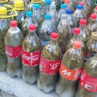 خیارشور تازه بشرط تست  خوشمزه