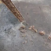رادیاتورسازی عالمی