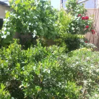 فروش سبمکارت شماره رند کم کاردایمی