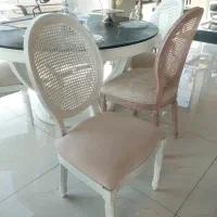 صندلی آوا/تالارو رستوران/هتل