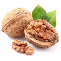 موزع و راننده پخش