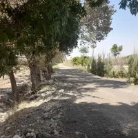 زمین برای باغچه