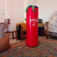 کیسه بوکس باشگاه ی (حرفه ای)