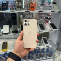 12 pro max