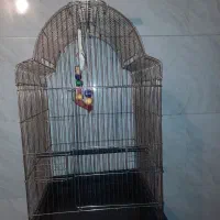 قفس بزرگ کاسکویی