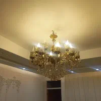 لوستربرنزده شاخه