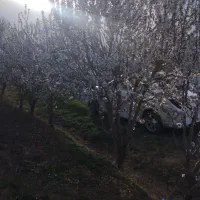 کوه و صحرا نوردی