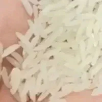 برنج اعلا هاشمی و جمشید محلی