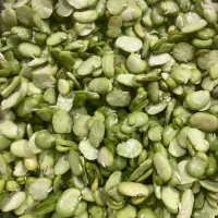 فروش باقاله و ترشی و انواع سبزی خشک