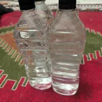 گلاب خونگی