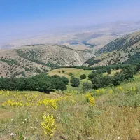 زمین ۳دانگ ۸۰متری خوش نقشه